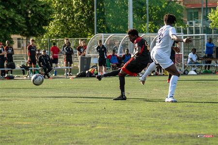 PLSQ - CS Mont-Royal Outremont (2) vs (4) AS de Beauport