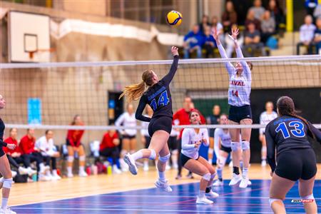 RSEQ - 2024 Volley F - Demi-finale - U de Montréal (3) vs (1) U Laval