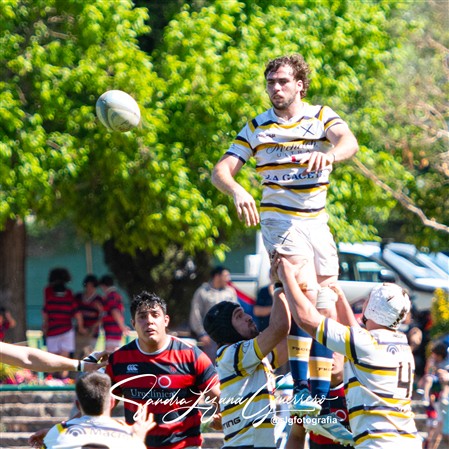 UAR - Torneo del Interior -  Tucuman Lawn Tennis Club vs Los Tordos RC