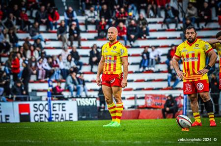 Mathieu Acébès - Rugby - TOP 14 - Toulon (44) vs (22) Perpignan - RC Toulonnais - US Arlequins Perpignanais