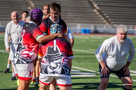 2024 McGill Alumni Rugby Reunion