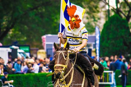 URT 2019 - Final NOA - Tucuman Lawn Tennis vs Universitario Rugby