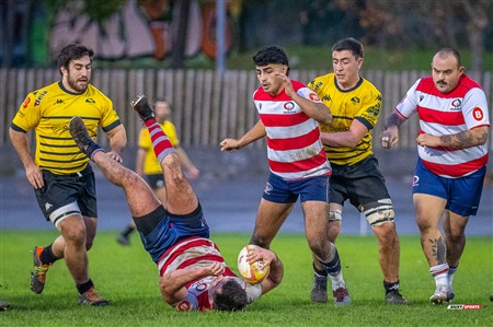 FER 2024 - DHB - Getxo RT (35) vs (14) Universitario Bilbao Rugby