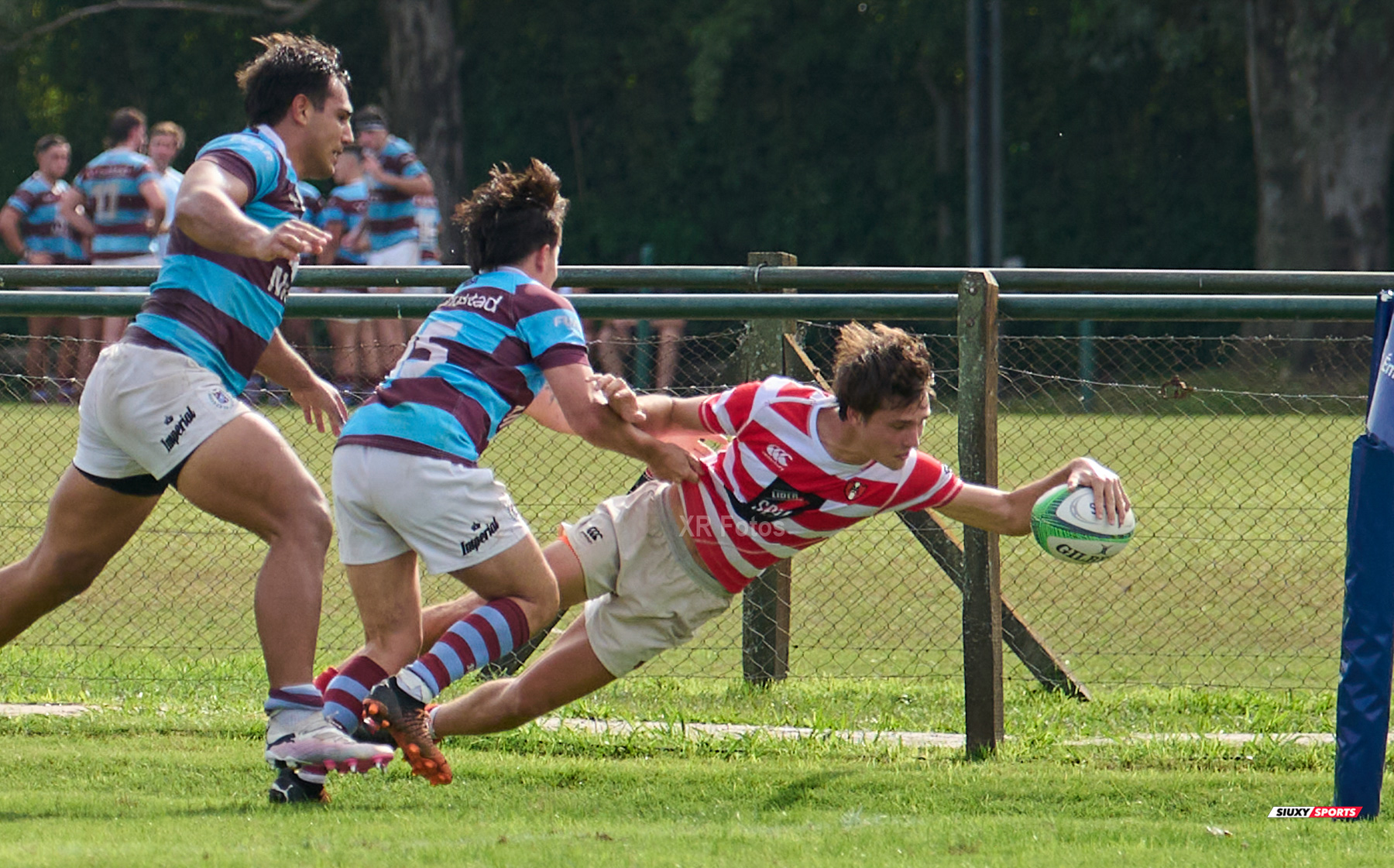 URBA 2024 - TOP 12 Intermedia - ALUMNI (54) VS (10) Atlético del Rosario