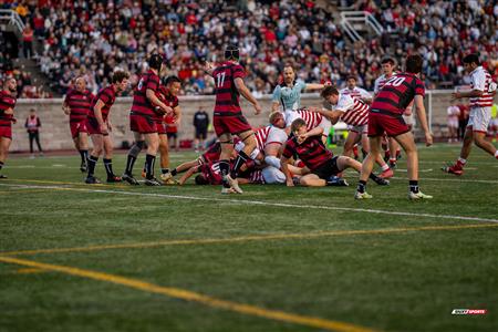 COVO CUP 2024 & 150th Anniversary 1st game - McGill University (57) vs (0) Harvard University - Rugby - 2nd Half