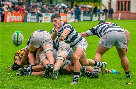 URBA 2024 - Top 12 Superior - Belgrano Athletic (14) vs (12) CASI