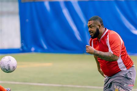 LPC 2024 - Peru Veteranos vs Tiburones