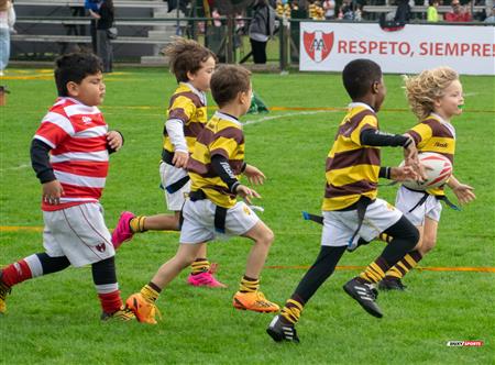 URBA 2024 - Top 12 Superior - Alumni (9) vs (22) Belgrano Athletic Club