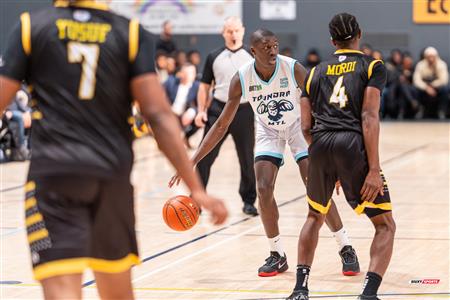 TBL 2024 - Montréal Toundra (85) vs (96) London Lightning