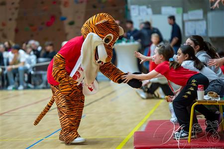 FFB 2024 - LF2 - BCTM(81) vs (70) Toulouse MB 