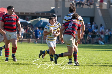 UAR - Torneo del Interior -  Tucuman Lawn Tennis Club vs Los Tordos RC