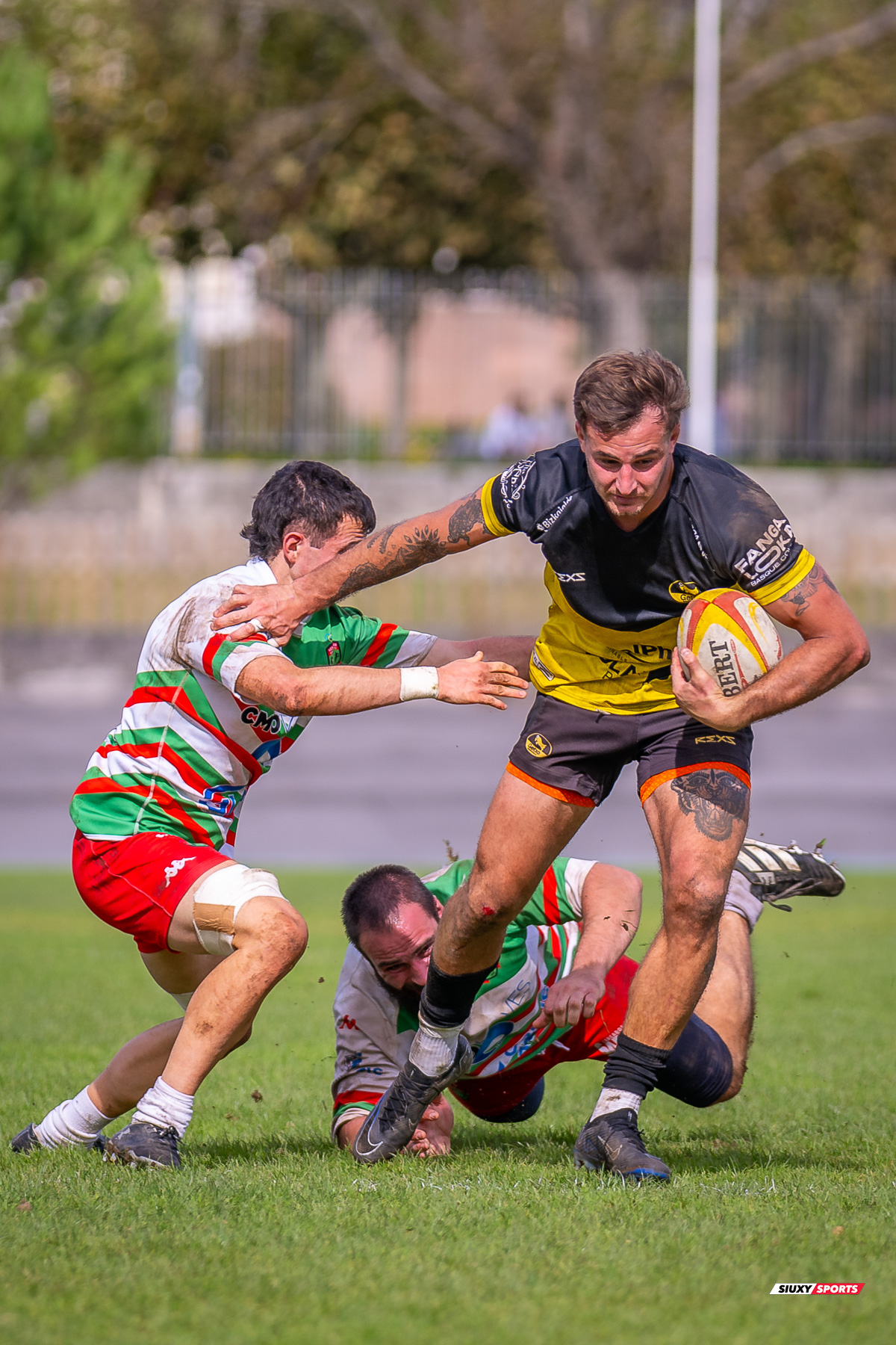  Getxo Artea Rugby Taldea - Hernani Club Rugby Elkartea - Rugby - FER 2024 - Getxo Artea Rugby Taldea (41) vs (8) Hernani Club Rugby Elkartea  (#FER24GETHER10) Photo by: Fredy Monfoto | Siuxy Sports 2024-10-20