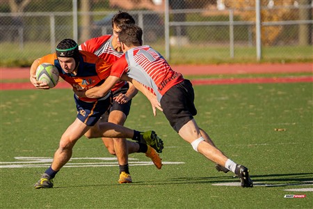 RSEQ 2024 - Démi Finale Rugby Masc Cegep - André Laurendeau (50) vs (20) Vanier