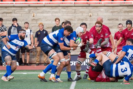 ECRC 2024 - Rugby Québec (38) vs (22) Rock Newfoundland -  Match