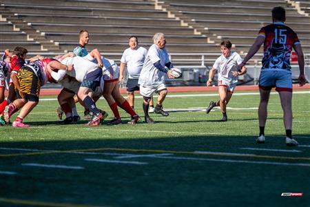 2024 McGill Alumni Rugby Reunion