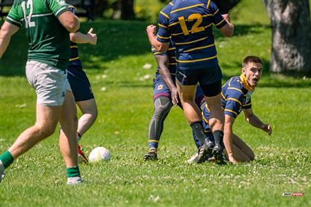 RQ 2024 - Super Ligue M2 - TMR (28) vs (24) Montréal Irish - Semi Finals