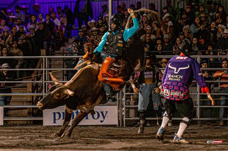 2024 - Rodéo Sainte Catherine de la Jacques Cartier, par Steve Plante