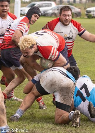 URBA 2024 - 1ra C - Areco RC (10) vs (45) Centro Naval