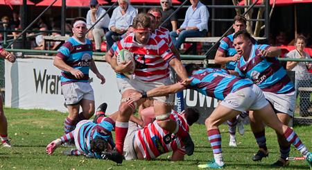 URBA 2024 - TOP 12 Intermedia - ALUMNI (54) VS (10) Atlético del Rosario