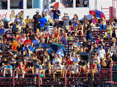 RQ 2018 - Final Prov 1 Masc - TMR RFC (62) vs (31) Parc Olympique Rugby