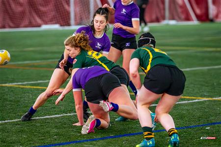 2024 Rugby 7S NATIONALS - Alberta vs Western - Game 4