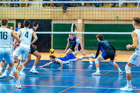 RSEQ - 2024 VOLLEY M - U DE MONTRÉAL (1) VS (3) U DE SHERBROOKE - Reel 2