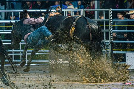 2024 - Rodéo Sainte Catherine de la Jacques Cartier, par Steve Plante