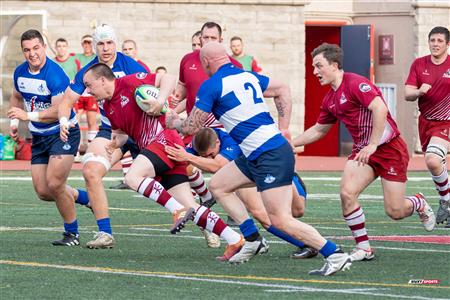 ECRC 2024 - Rugby Québec (38) vs (22) Rock Newfoundland -  Match