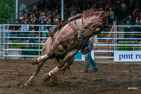 2024 - Rodéo Sainte Catherine de la Jacques Cartier, par Steve Plante