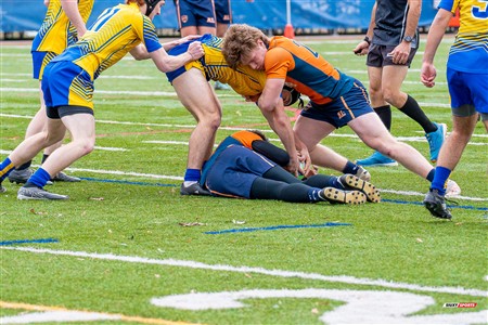 RSEQ 2024 - Final Rugby Masc CEGEP - John Abbott (48) vs (18) André Laurendeau - Second Half