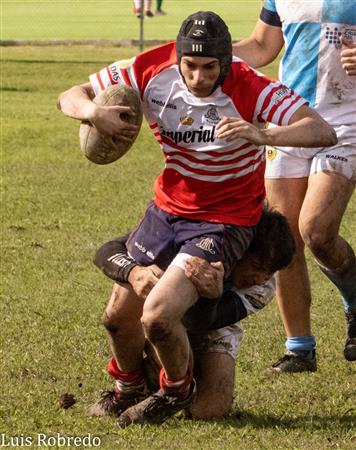URBA 2024 - 1ra C - Areco RC (10) vs (45) Centro Naval