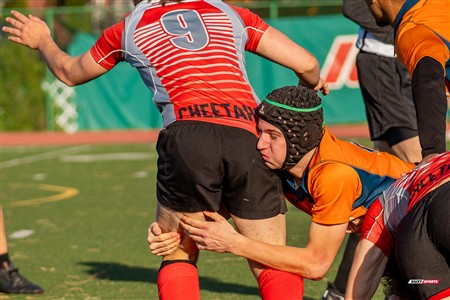 RSEQ 2024 - Démi Finale Rugby Masc Cegep - André Laurendeau (50) vs (20) Vanier