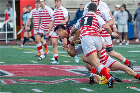 COVO CUP 2024 & 150th Anniversary 1st game - McGill University (57) vs (0) Harvard University - Rugby - 1st Half