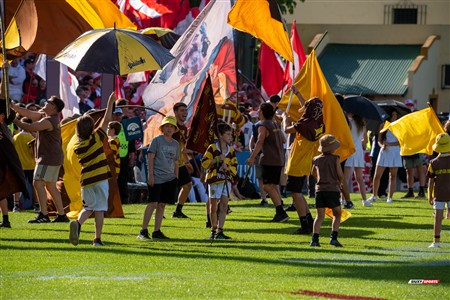 URBA 2024 - Top 12 - Final - Belgrano Athletic (17) vs (20) Asociacion Alumni