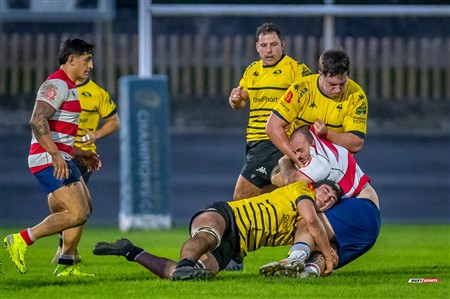 FER 2024 - DHB - Getxo RT (35) vs (14) Universitario Bilbao Rugby