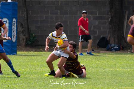 UAR - Nacional de Clubes 2019 - Tucuman Lawn Tennis vs Palermo Bajo