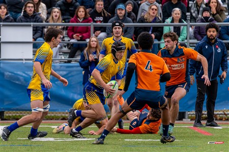 RSEQ 2024 - Final Rugby Masc CEGEP - John Abbott (48) vs (18) André Laurendeau - Second Half