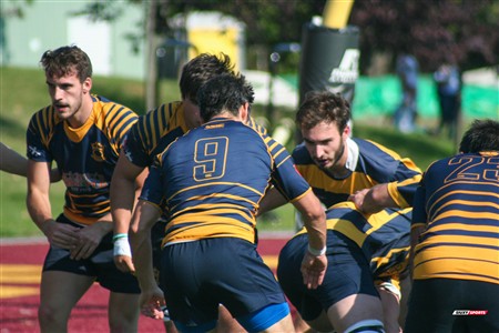 RQ 2018 - Final Prov 1 Masc - TMR RFC (62) vs (31) Parc Olympique Rugby