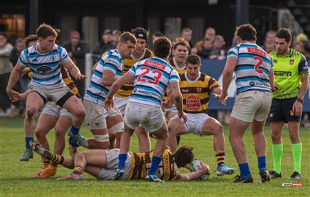 URBA 2024 - Top 12 Superior - San Isidro Club (34)  vs (31) Belgrano Athletic Club