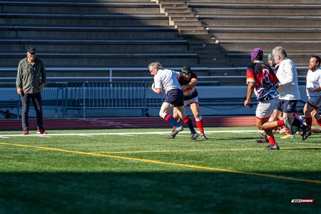 2024 McGill Alumni Rugby Reunion
