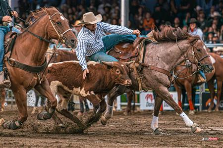 2024 - Rodéo Sainte Catherine de la Jacques Cartier, par Steve Plante