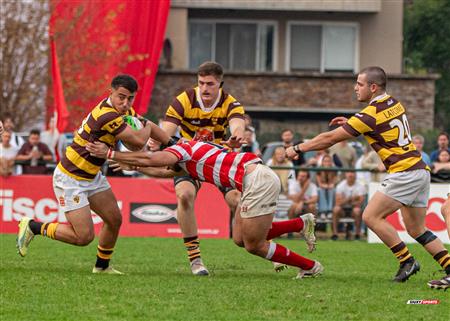 URBA 2024 - Top 12 Superior - Alumni (9) vs (22) Belgrano Athletic Club