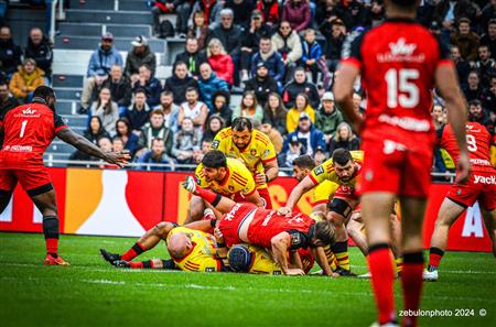 TOP 14 - Toulon (44) vs (22) Perpignan