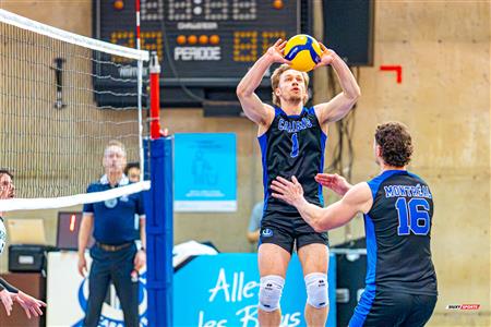 RSEQ - 2024 VOLLEY M - U DE MONTRÉAL (1) VS (3) U DE SHERBROOKE - Reel 2