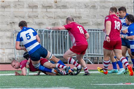 ECRC 2024 - Rugby Québec (38) vs (22) Rock Newfoundland -  Match