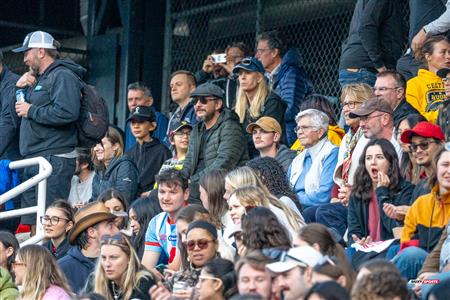 COVO CUP 2024 & 150th Anniversary 1st game - McGill University vs Harvard University - Rugby - Before the game