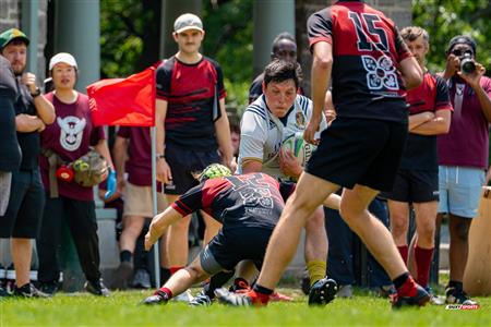 RQ 2024 - LPR1 M2 - Westmount RC (10) vs (41) Sainte-Anne-de-Bellevue RFC