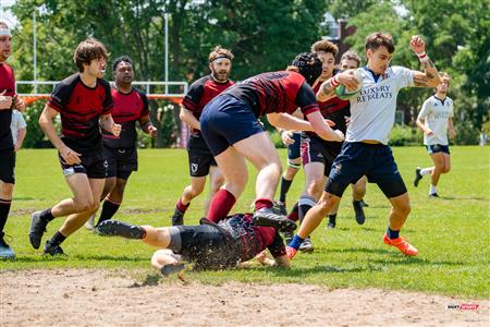 RQ 2024 - LPR1 M2 - Westmount RC (10) vs (41) Sainte-Anne-de-Bellevue RFC