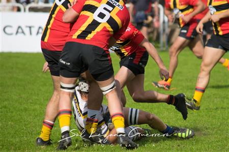 Tucuman Lawn Tennis vs Cardenales RC