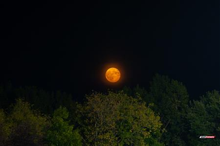RSEQ 2024 - Rugby Univ. Fém - Concordia U. (22) vs (15) Université de Montréal